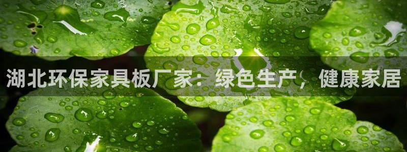 杏耀注册登录测速