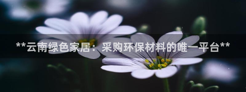 杏耀平台注册问一问