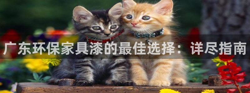 杏耀手机网页登录入口
