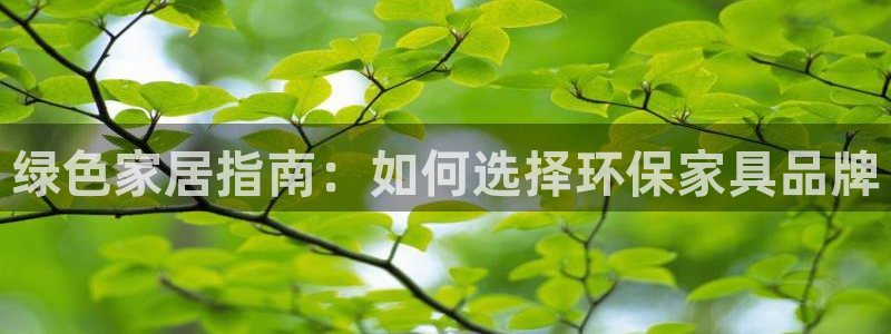 杏耀平台登陆测速