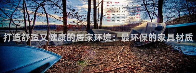 杏耀平台网站是什么