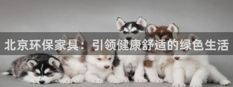 杏耀平台娱乐登陆