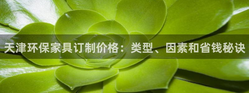 杏耀平台代理怎么赚钱
