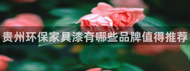 杏耀平台测速地址