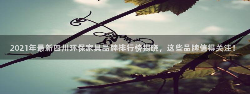 杏耀平台待遇