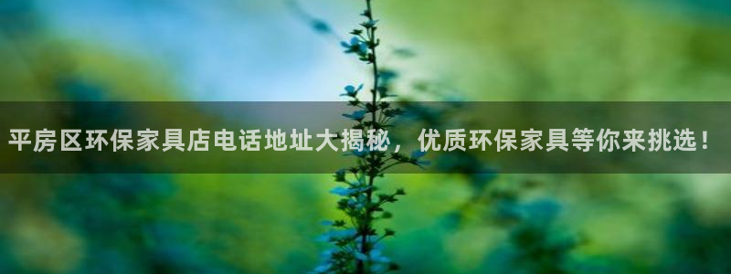 杏耀代理注册中心：平房区环保家具店电话地址大揭秘，优质环保家