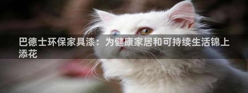 杏耀平台首页登录：巴德士环保家具漆：为健康家居和可持续生活锦