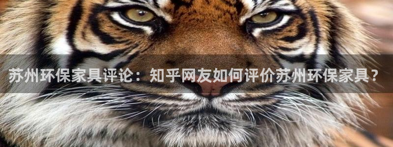 杏耀注册登入：苏州环保家具评论：知乎网友如何评价苏州环保家具