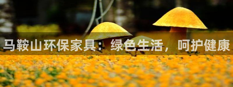 杏耀官网娱乐：马鞍山环保家具：绿色生活，呵护健康
