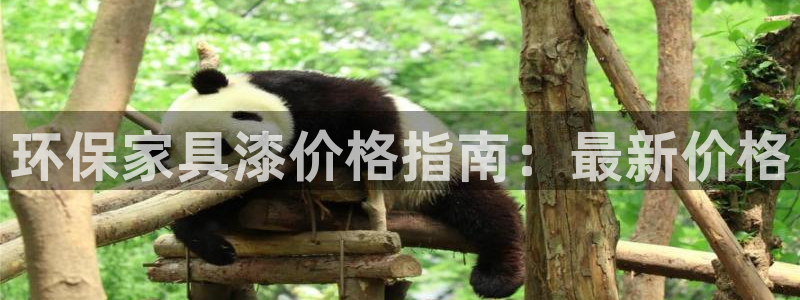 杏耀官网主管