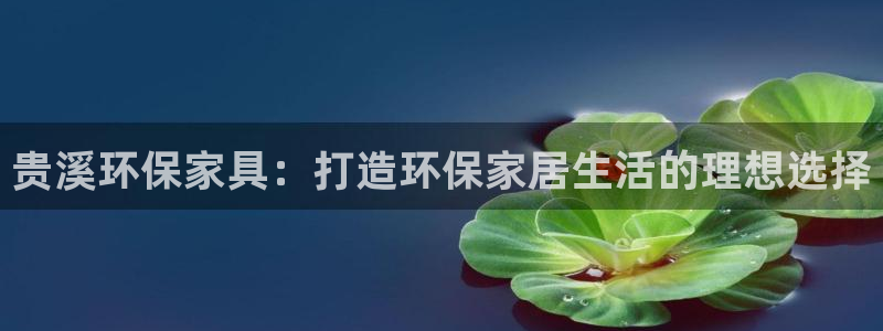 杏耀平台登陆官网：贵溪环保家具：打造环保家居生活的理想选择