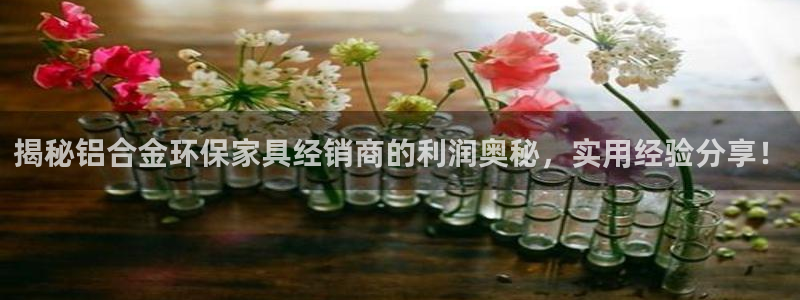 杏耀平台代理登录网址：揭秘铝合金环保家具经销商的利润奥秘，实