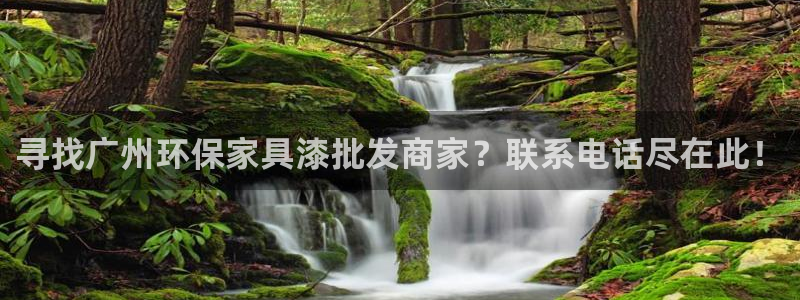 杏耀注册地址：寻找广州环保家具漆批发商家？联系电话尽在此！