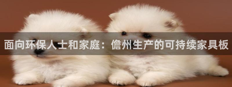 杏耀管网登录：面向环保人士和家庭：儋州生产的可持续家具板
