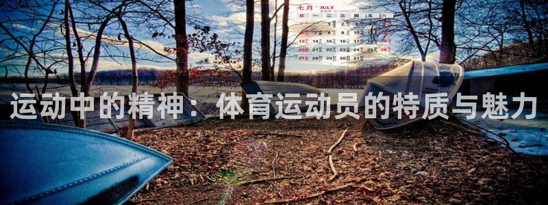 运动中的精神：体育运动员的特质与魅力
