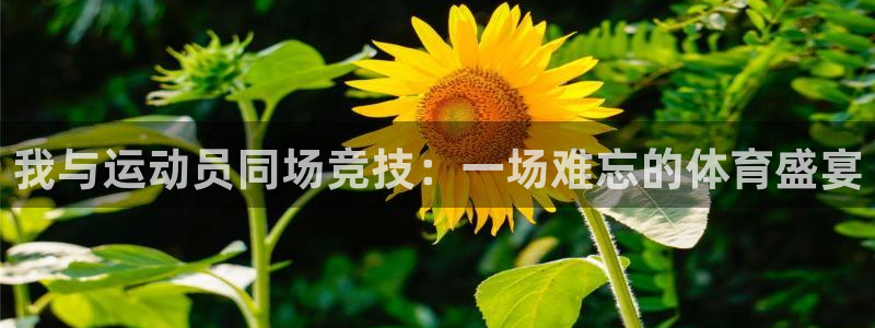 熊猫体育网址：我与运动员同场竞技：一场难忘的体育盛宴